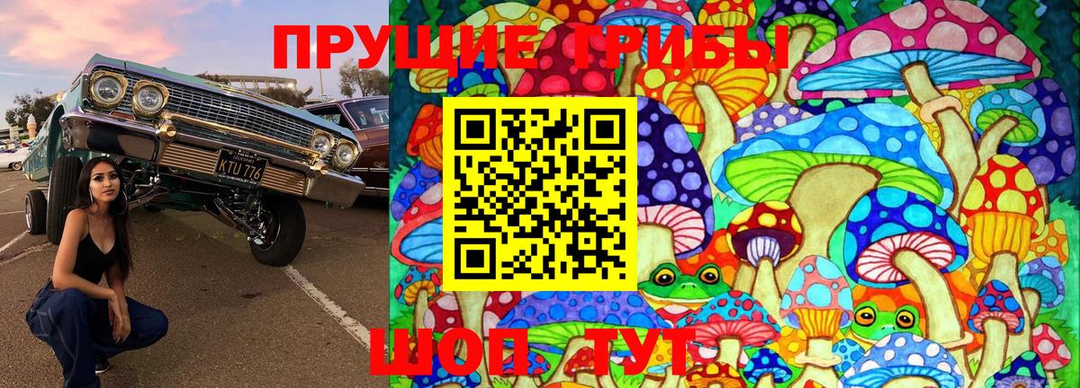 Псилоцибиновые грибы Psilocybe Ковров