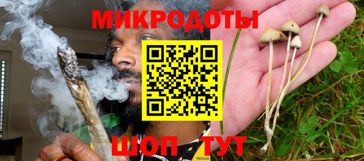 Псилоцибиновые грибы GOLDEN TEACHER  Вход с VPN  Ковров 